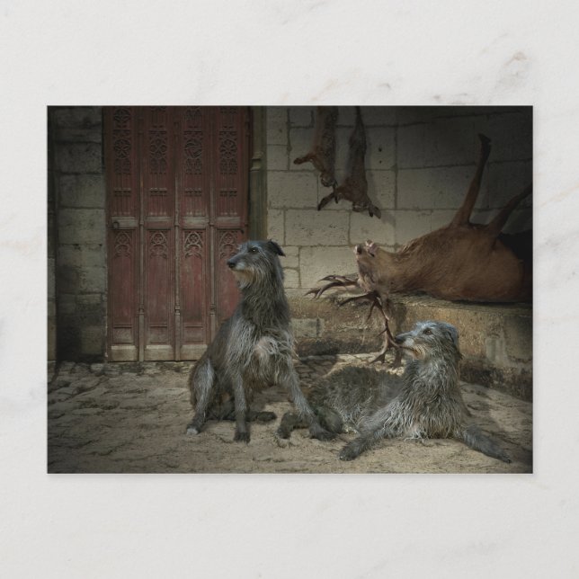 Carte Postale Scène de chasse : le butin (partie. 3) (Devant)