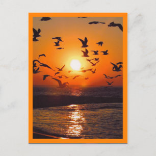 Carte Postale Scène de coucher de soleil bordure orange