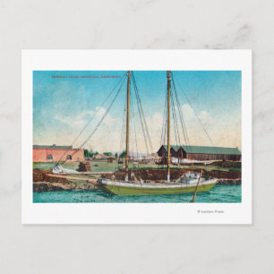 Carte Postale Scène de goélette d'expédition Petaluma, CA
