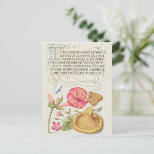 Carte Postale Scène de jardin avec fleurs, papillon et champigno