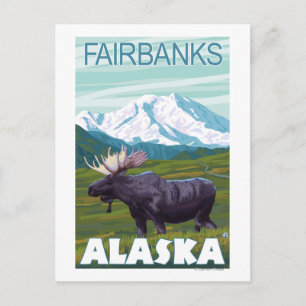 Carte Postale Scène de l'orignal - Fairbanks, Alaska