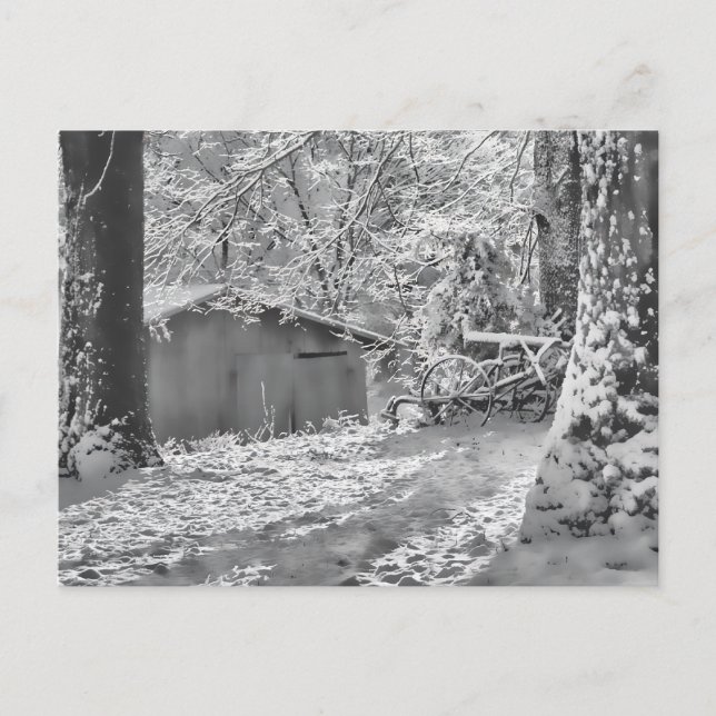 Carte Postale Scène de neige rurale noire et blanche rétroéclair (Devant)