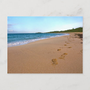 Carte Postale Scène De Plage Tropicale