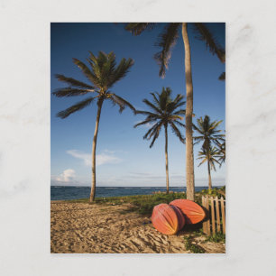 Carte Postale Scène De Plage Tropicale