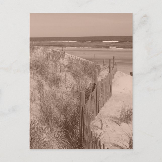 Carte Postale Scène De Sepia Beach (Devant)