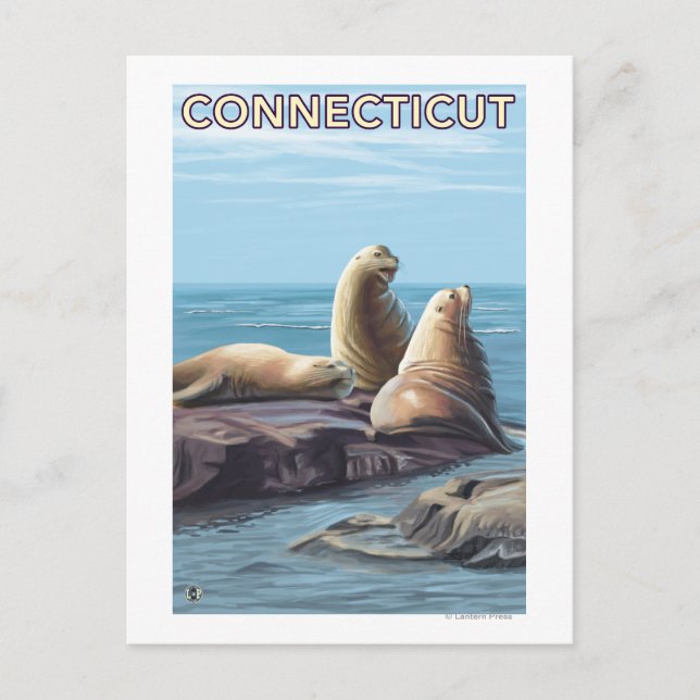 Carte Postale Scène des lions de mer Connecticut (Devant)