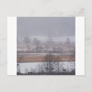 Carte Postale Scène d'hiver Cades Cove Great Smoky Mountains