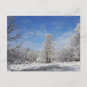 Carte Postale Scène d'hiver du nord-est