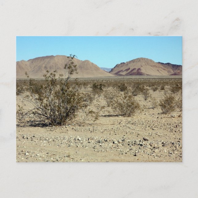 Carte Postale Scène du désert de Mojave 02 (Devant)