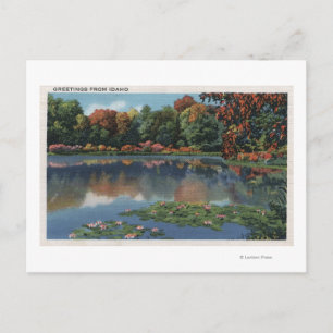 Carte Postale Scène du lac Idaho avec Lily PadsIdaho