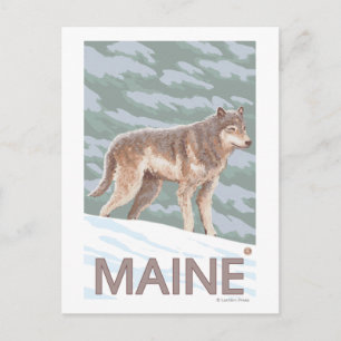 Carte Postale Scène du MaineWolf