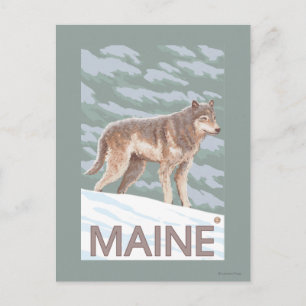 Carte Postale Scène du MaineWolf