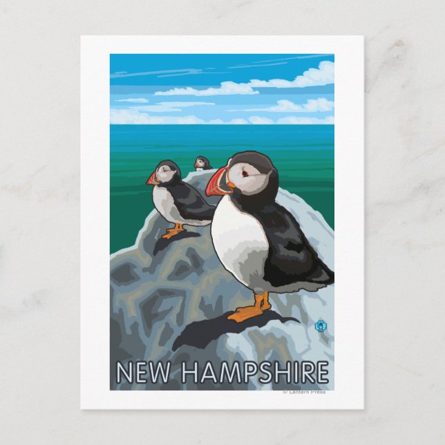 Carte Postale Scène du New HampshirePuffins (Devant)
