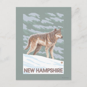 Carte Postale Scène du New HampshireWolf