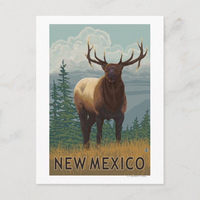 Carte Postale Scène Elk Nouveau-Mexique (Devant)