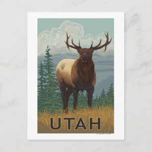 Carte Postale Scène Elk Utah
