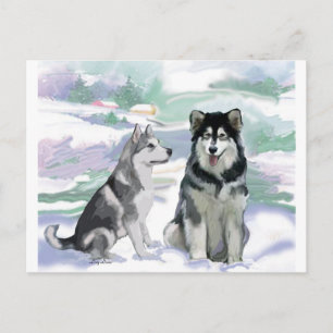 Carte Postale Scène hivernale de malamute en Alaska