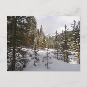 Carte Postale Scene hivernale de montagne neige au Montana