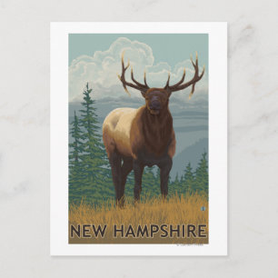 Carte Postale Scène New HampshireElk