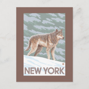 Carte Postale Scène New YorkWolf