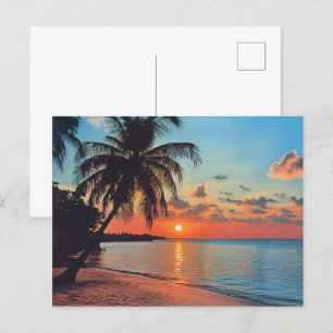 Carte Postale Scène Tropical Sunset Beach