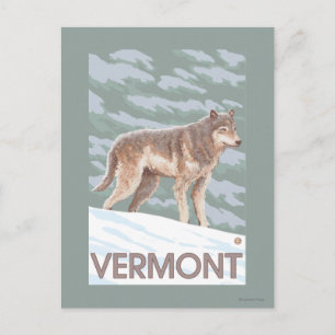 Carte Postale Scène VermontWolf