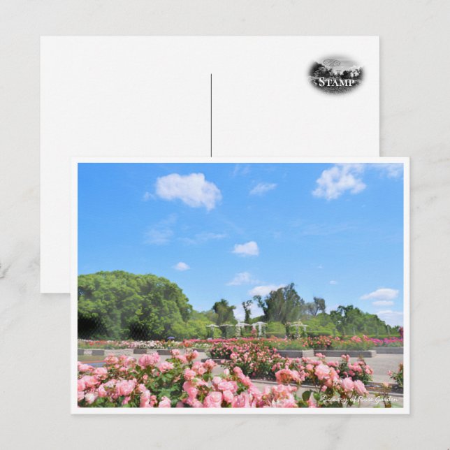 Carte Postale Scenery of Rose Garden (Devant / Derrière)
