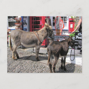 Carte Postale Scènes anglaises, ânes à Clovelly, Devon Nord