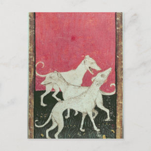 Carte Postale Scènes de faucons