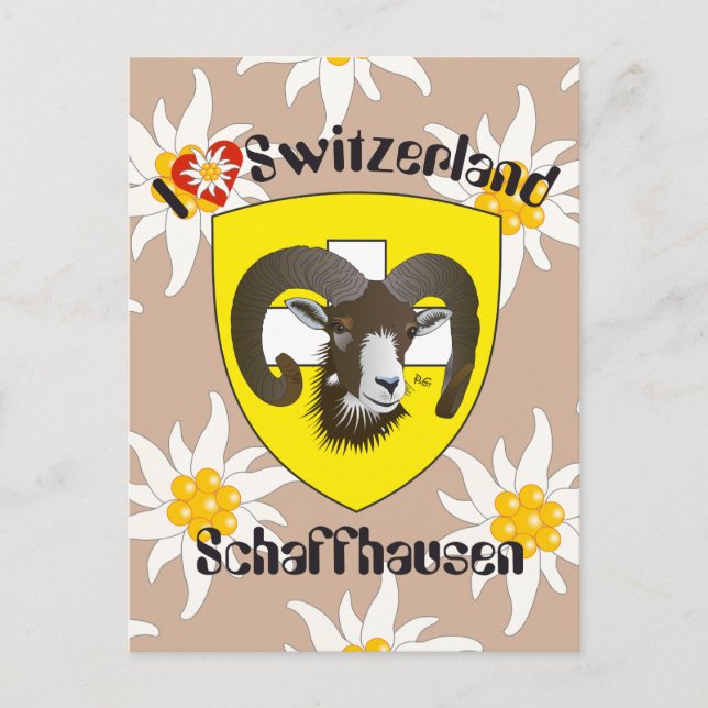 Carte Postale Schaffhausen Schweiz Postkarte (Devant)