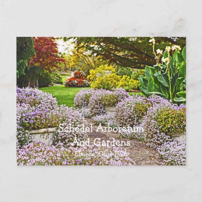 carte postale, Schedel Arboretum et jardins (Devant)