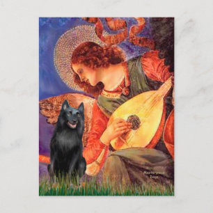 Carte Postale Schipperke 5 - Ange à la mandoline