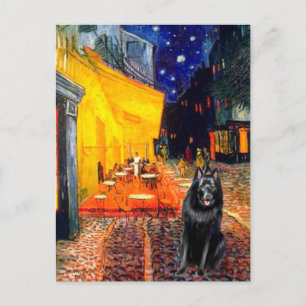 Carte Postale Schipperke 7 - Café Terrasse