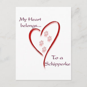 Carte Postale Schipperke Coeur Appartient