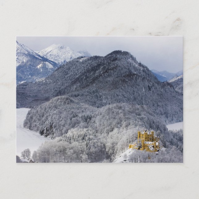 Carte Postale Schloss Hohenschwangau (Devant)
