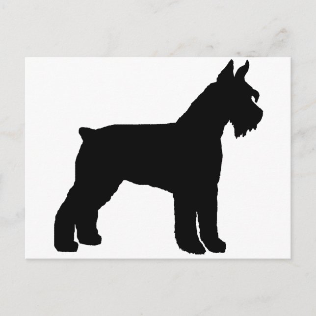 Carte Postale Schnauzer géant (noir) (Devant)