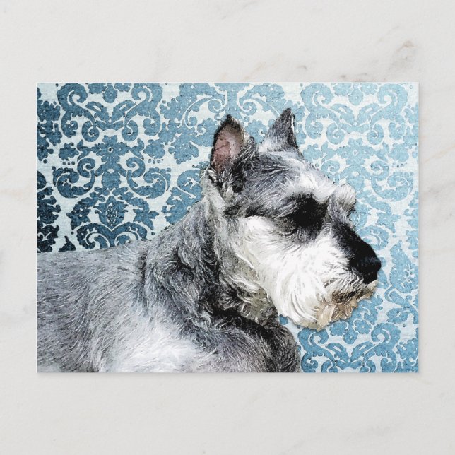 Carte Postale Schnauzer miniature peint (Devant)