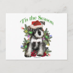 Carte Postale Schnauzer miniature "Tis