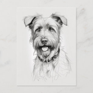 Carte Postale Schnauzer Portrait Crayon
