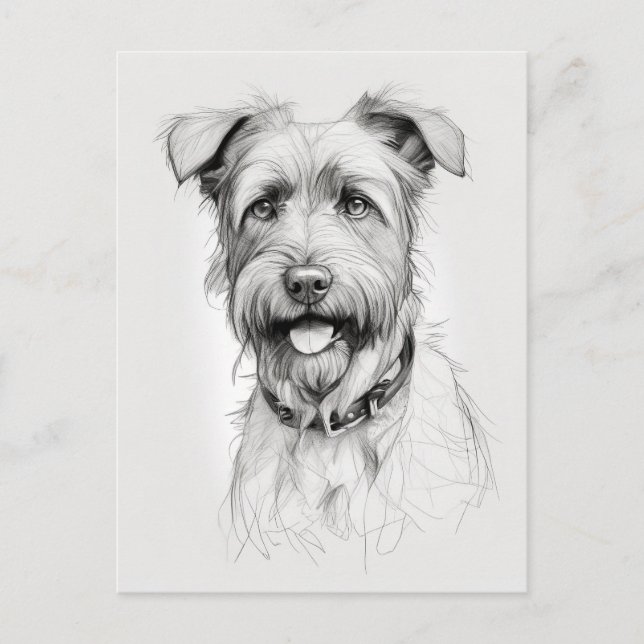 Carte Postale Schnauzer Portrait Crayon (Devant)