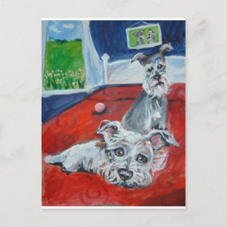 Carte Postale schnauzers sur le lit
