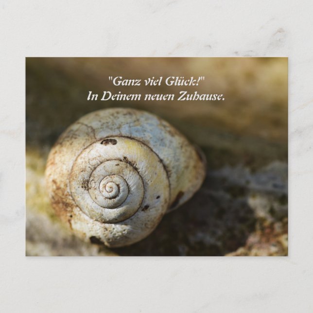 Carte Postale Schneckenhaus (Devant)