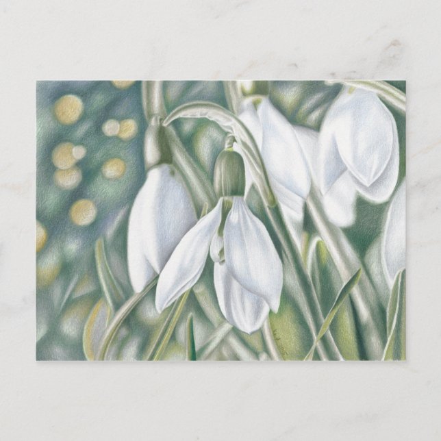 Carte Postale Schneeglöckchen - Farbstiftzeichnung (Devant)