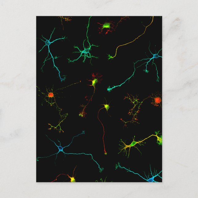 Carte Postale science (Devant)