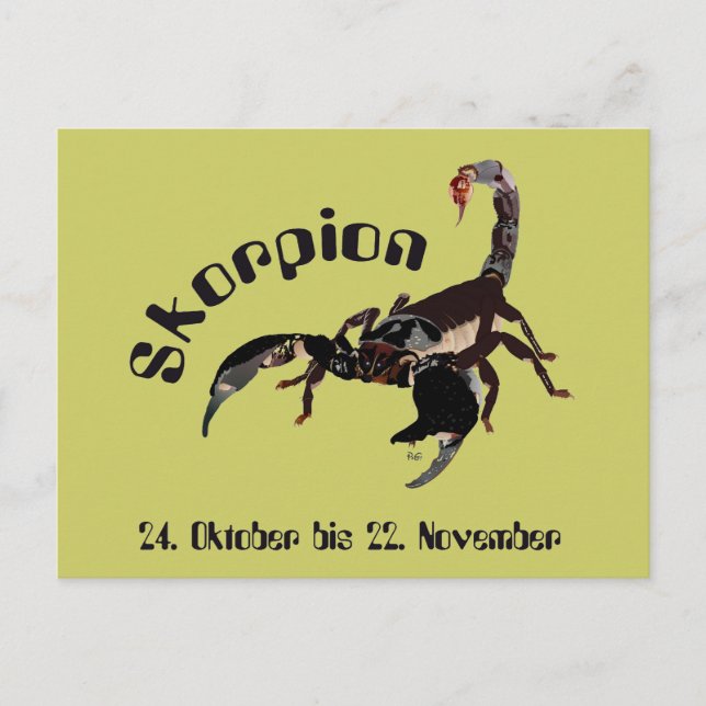 Carte Postale Scorpion (Devant)