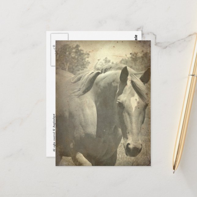 Carte Postale Scotch Faux Vintage (Devant/Arrière en situation)