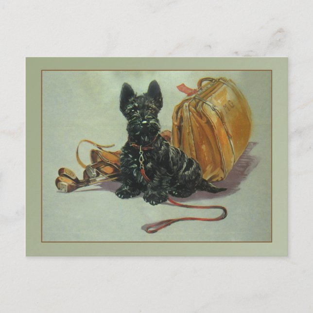 Carte postale Scottie Dog vintage (Devant)