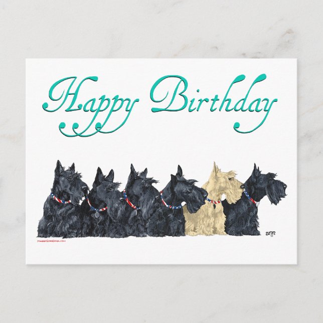 Carte Postale Scotties All in the Row (Devant)