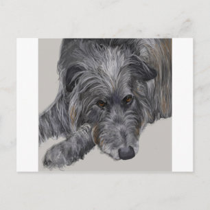 Carte Postale Scottish Deerhound