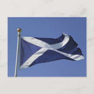 Carte Postale Scottish Flag